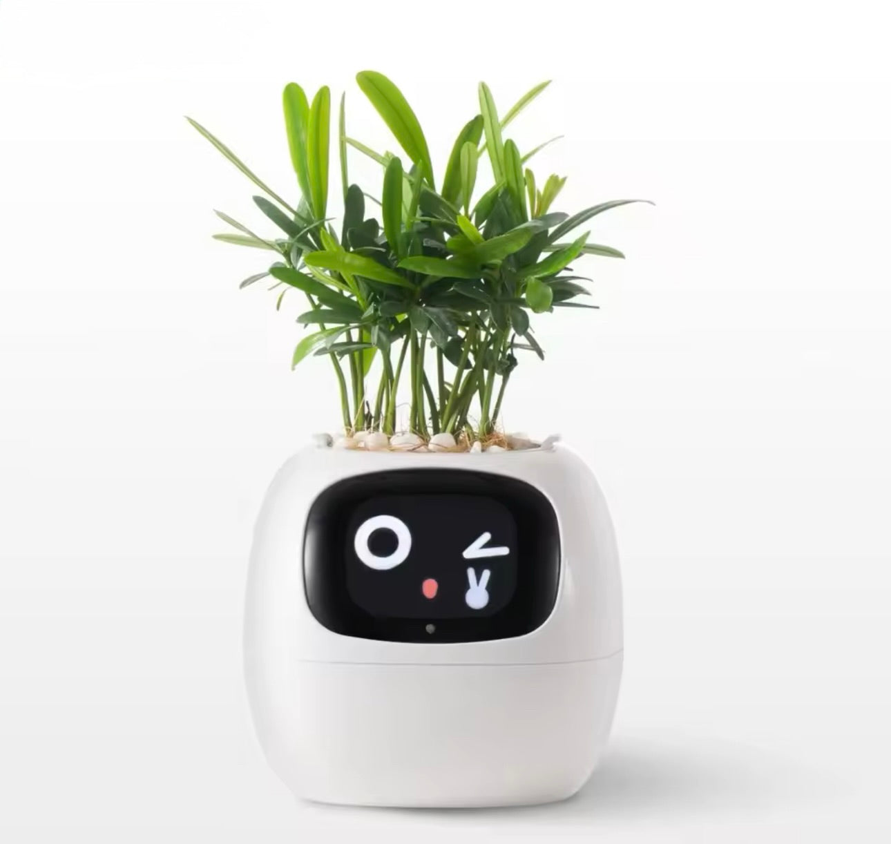 BotaniTech - AI Planter™